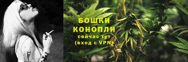 СК Верея