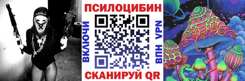Псилоцибиновые грибы GOLDEN TEACHER  Камешково 